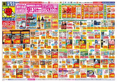 3/16~3/22チラシ オモテ