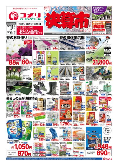 コメリハード&グリーン 3/11号 決算市 オモテ