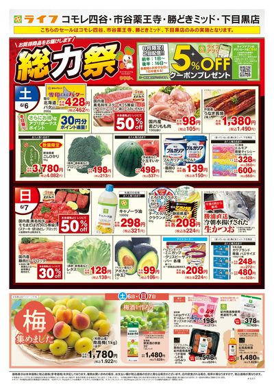 6/6号 総力祭/梅集めました