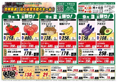 旭ヶ丘店仮_表面B4_20260901