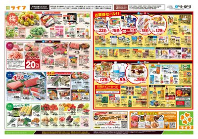 6/6号 総力祭/梅集めました