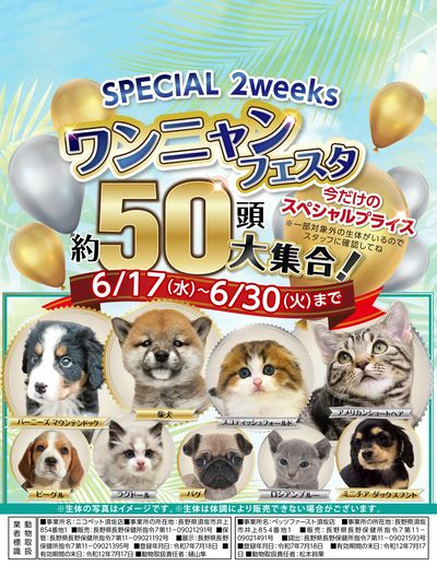 ムサシ須坂店おススメ情報!
