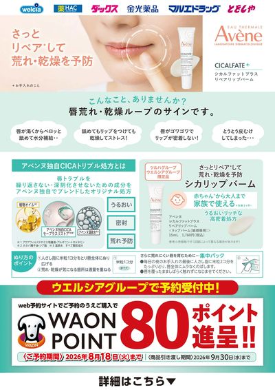 アベンヌリップを予約してポイントゲット!