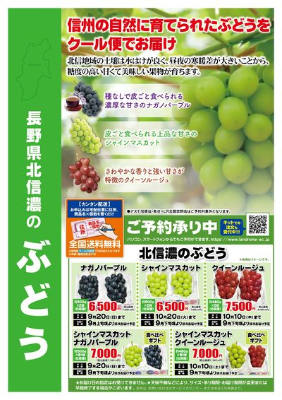 産直ギフト_長野県北信濃のぶどう