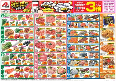 6月17日開始チラシ:表