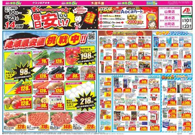 6月10日開始チラシ:表