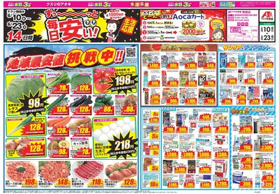 6月10日開始チラシ:表