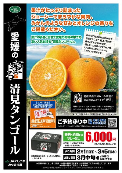 清見タンゴール