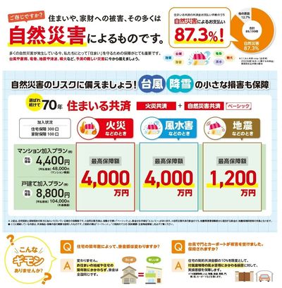 お支払い例