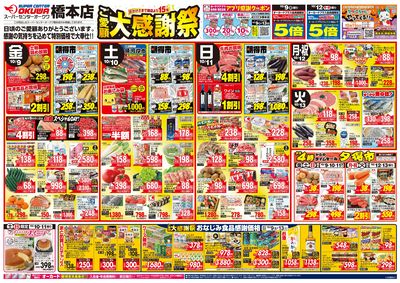 1009F_26hashimoto01