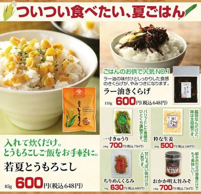 初夏とうもろこし