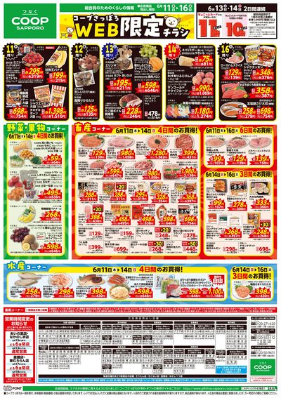 6/11号 WEB限定チラシ