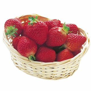 九州各産地 いちご 1パック