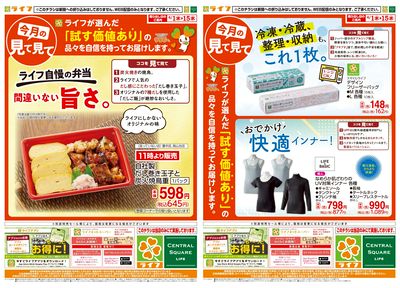 今月の見て見て