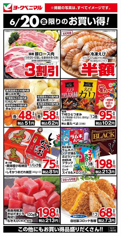 6/20限りのお買い得!