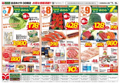 フードマーケットオータニ上三川店 - 株式会社オータニ