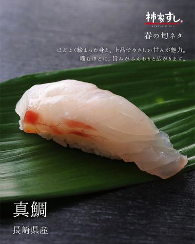 春の旬のネタ「真鯛」420円