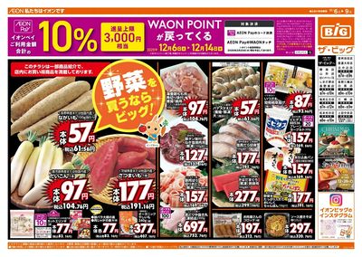 週末のお買い物はザ・ビッグで!