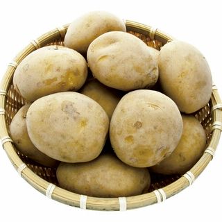 北海道産 じゃがいも 1袋