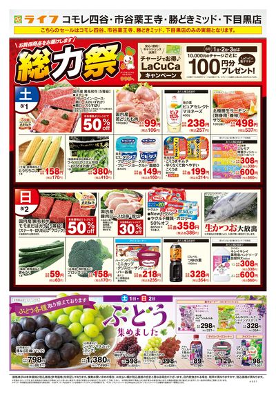 8/1号 総力祭/ぶどう集めました