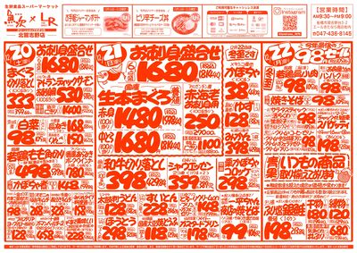 【魚次×LR北習志野店】12/20号 表