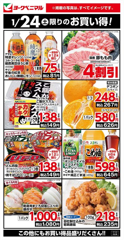 1/24限りのお買い得!