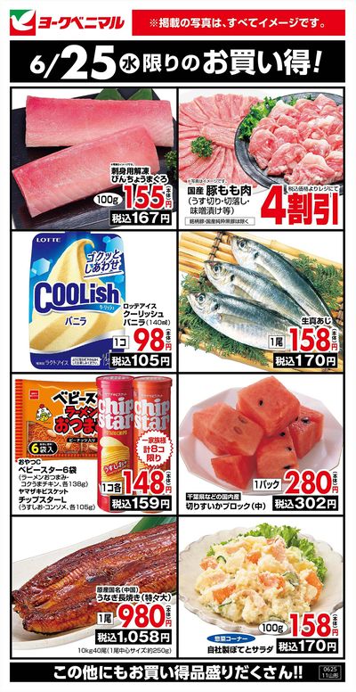 6/25限りのお買い得!