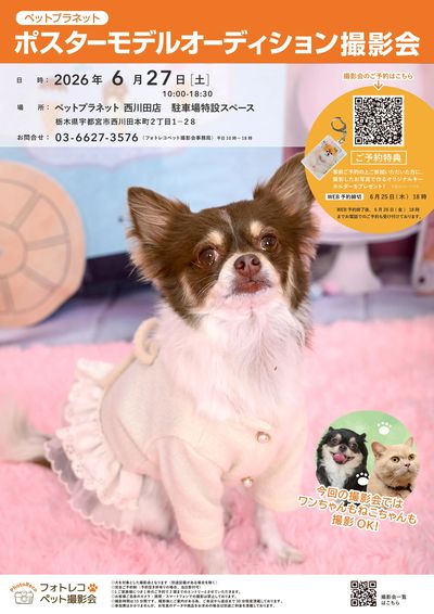 ポスターモデルオーディション撮影会開催!