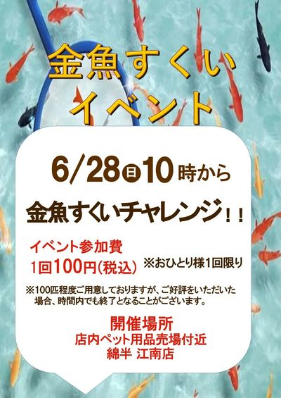金魚すくいイベント★