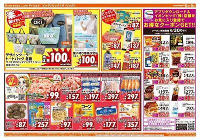 6月6日号週末チラシ(うら)