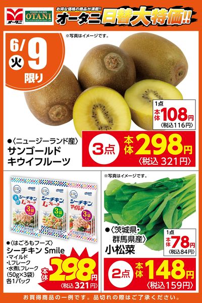フードオアシスオータニ矢板店 - 株式会社オータニ