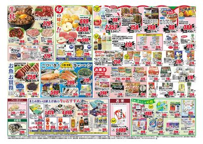 0908号-茨城裏