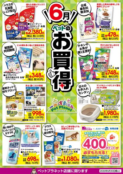 6月ペットのお買得!