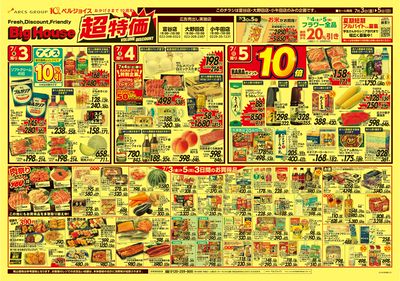 ビッグハウス超特価