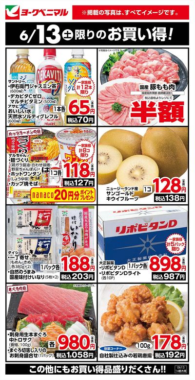 6/13限りのお買い得!