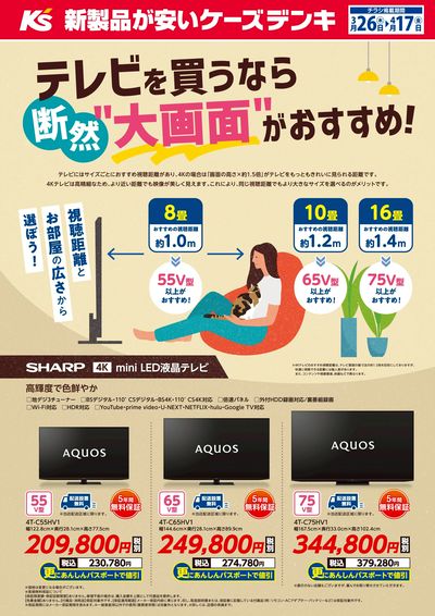 テレビを買うなら断然”大画面”がおすすめ!