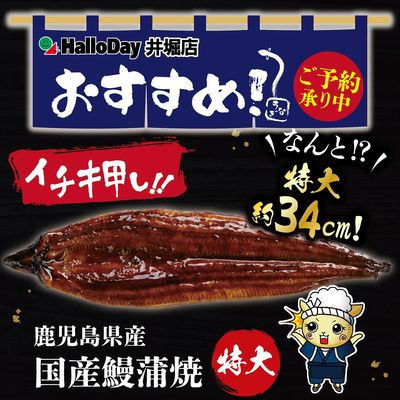 土用丑の日ご予約受付中~国産鰻蒲焼~