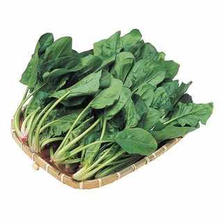 九州各産地 ほうれん草 1束