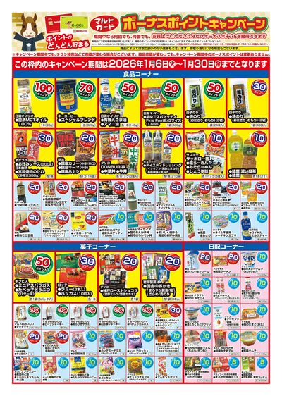 マルトカード ボーナスポイントキャンペーン(表)