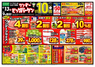 ワンデービッグバーゲン オモテ