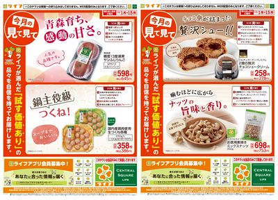 今月の見て見て