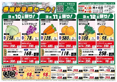 旭ヶ丘_表面20260310~20260315