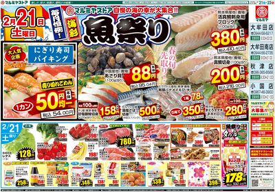 M.26.0221_0224_海彩魚祭り①B3_表