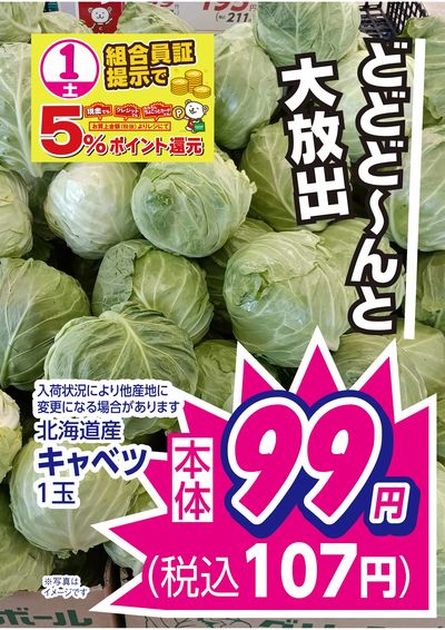 8/1限りのお買得品 この企画見逃さないで!!