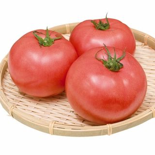 熊本産 とまと 3玉
