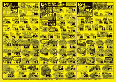 11/13(木)-11/16(日)裏