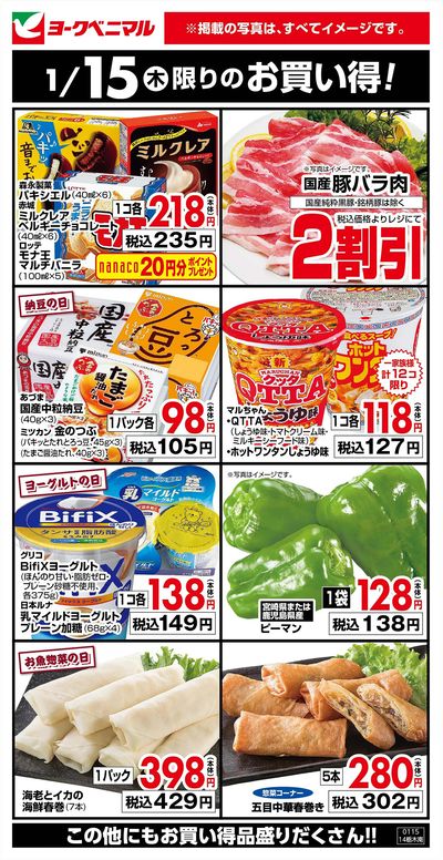 1/15限りのお買い得!