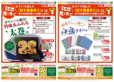 今月の見て見て