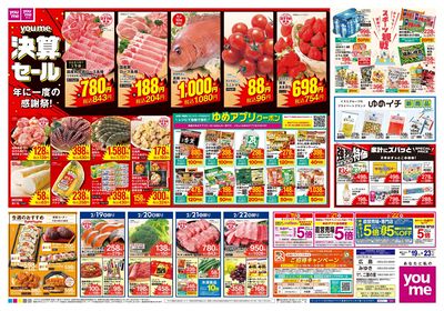 2/19号 週末チラシ