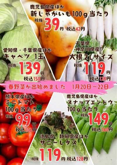 まだまだ寒いですが…春野菜の季節到来!!